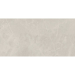 BAYONA SILVER NATURAL RETT. 60X120